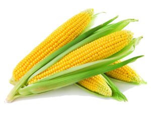 corn