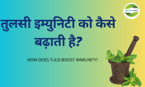 आंवला में कितनी मात्रा में विटामिन सी होता है (29)
