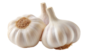 Untitled design (27)