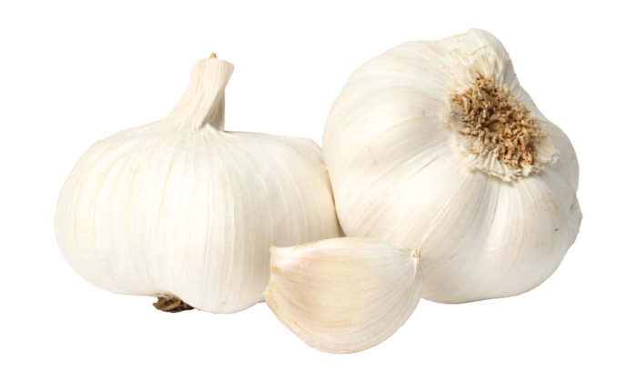 Untitled design (29)