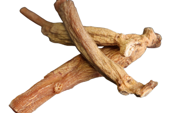 Untitled design (51)